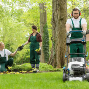 Gartenpflege Lünen KlarGo Reinigung